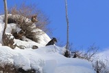 IMG_5895