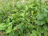 P9200379