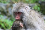 IMG_1302