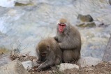 IMG_1767