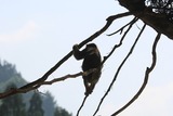 IMG_4467