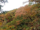 PA120417