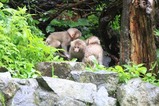 IMG_0965