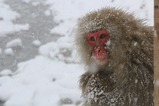 IMG_5603