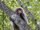 DSC00459