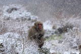 IMG_8348