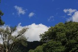 IMG_4649
