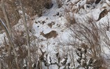 IMG_5955
