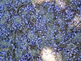 P6060004