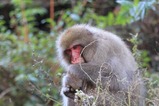 IMG_1755