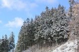 IMG_1824