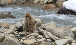 IMG_9390