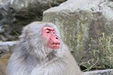 IMG_4965