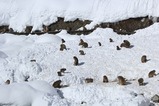 IMG_9165