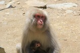 IMG_6201