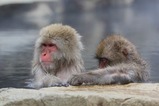 IMG_2081