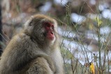 IMG_1861