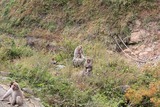 IMG_5132