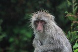 IMG_1012
