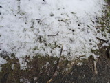 DSC00847
