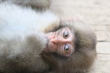 IMG_4777
