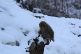 IMG_2245