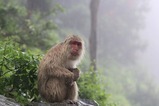 IMG_1021