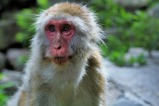 IMG_4354 (3)