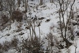 IMG_5950