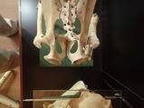 P4210727