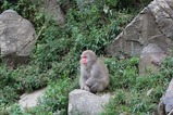 IMG_1609