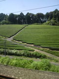 123276b7.jpg