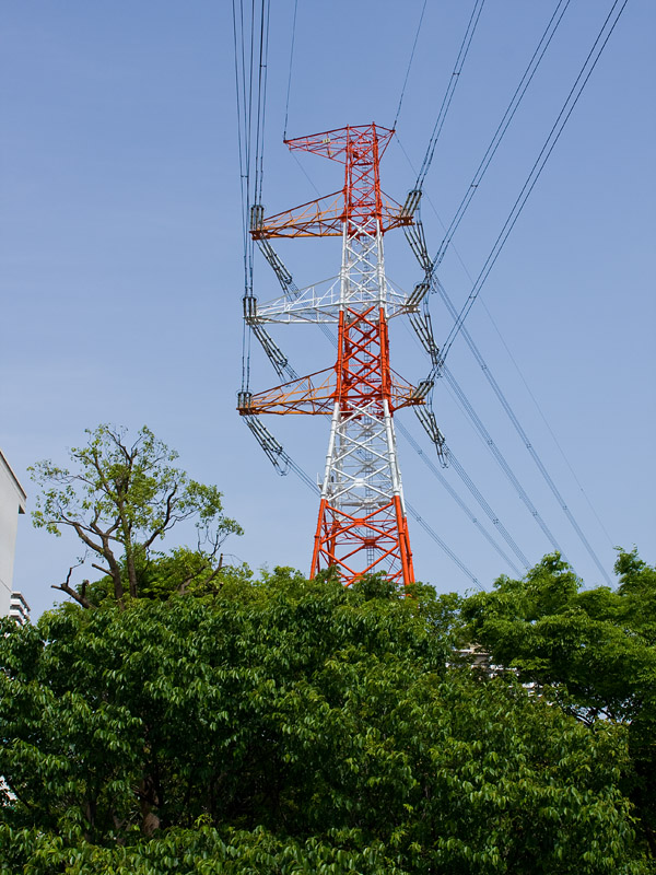 江東線88号 : Das Otterhaus 【カワウソ舎】旧サイト