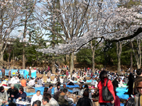 09井の頭公園-1