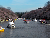 09井の頭公園-5