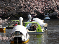 09井の頭公園-4