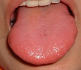 d88496f1.JPG