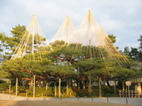 兼六園1