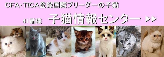 KCEN