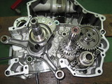 b55f91e7.JPG