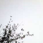 b5e1748d.jpg
