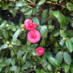 f317f1d5.jpg