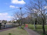 07a00e78.jpg