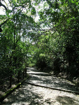 hodou2.jpg