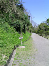 hodou1.jpg