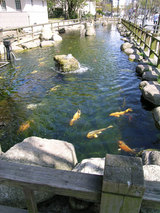 ohori.jpg