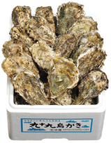 97c4d960.jpg