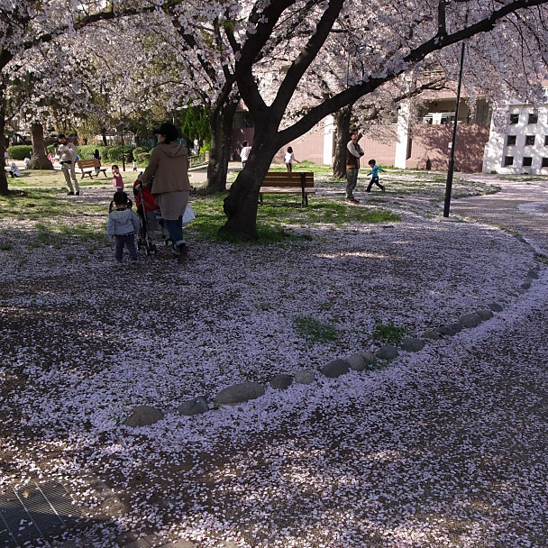 光明公園