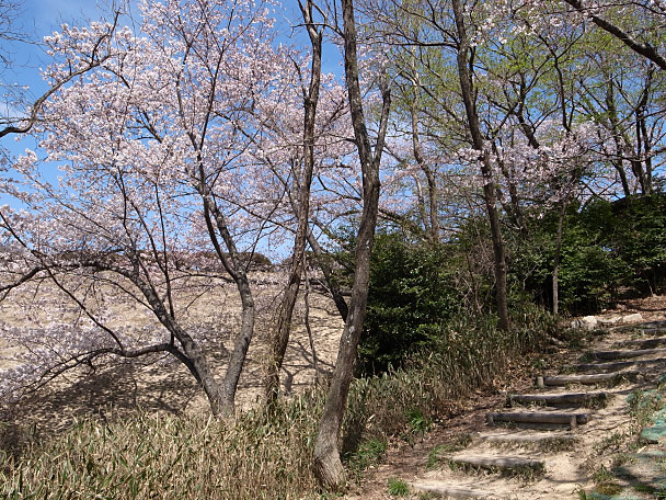 遊歩道