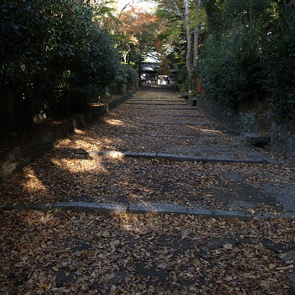伊居太神社参道